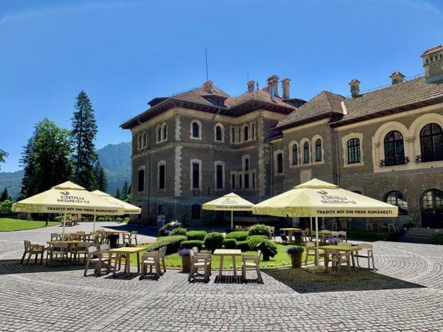 Castelul Cantacuzino بوستين المظهر الخارجي الصورة